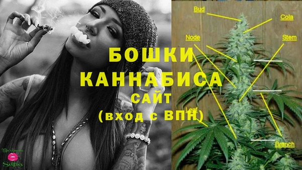 MDMA Premium VHQ Горнозаводск
