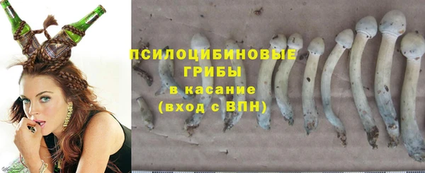 соль курить ск Горно-Алтайск