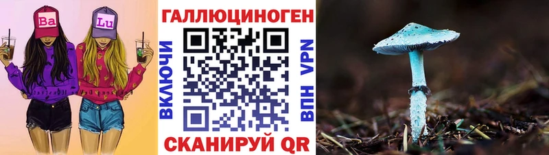 купить наркоту  Сольвычегодск  mega ссылка  Галлюциногенные грибы MAGIC MUSHROOMS 